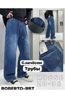 Утепленные мужские джинсы Roberto R9666